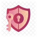 Seguridad clave  Icon