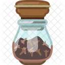 Clavo Oriente Pimienta Icono