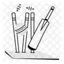 Clean Bowled  Icon
