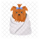 Clean Dog In Towel Dog In Towel Towel Icon