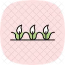 きれいな植物列  アイコン