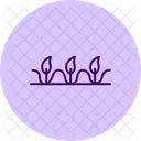 Clean plant row  Icon