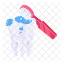 Cleaning Tooth  Icon