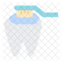 Cleaning Tooth With Brus  Icon