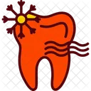 Clear Dental Dentist Icon