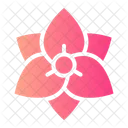 Clematis Flower Botanical Icon