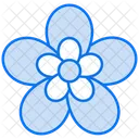 Clematis  Icon