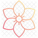 Clematis  Icon