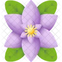 Clematis  Icon