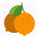 Clementine Mandarine Agrumes Icon