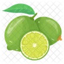 Clementine Fruit  Icon