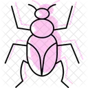 Clic Insecto Escarabajo Icono