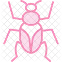 Click Insect Beetle Icon