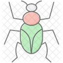 Click Insect Beetle Icon