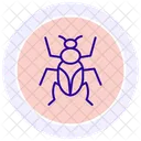 Click Insect Beetle Icon