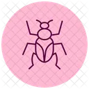 Click Insect Beetle Icon