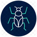 Click Insect Beetle Icon