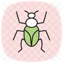 Click Insect Beetle Icon