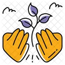 Climate Weather Forecast Icon