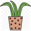 Climbing Plant  Icon