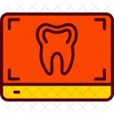 Clinic Dental Tooth Icon