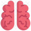 Infirmary Hospital Clinic Icon