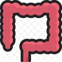 Infirmary Hospital Clinic Icon