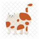 Clipart de desenho animado de gato olhando  Ícone