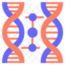 Clonagem De DNA Clonagem DNA Ícone