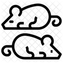 CLONING AND TESTING  Icon