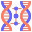 Cloning Dna Cloning Dna Icon