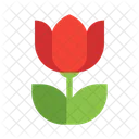 Close Flower Macro Icon