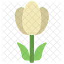 Closed Plant  Icon