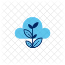 Cloud Database Icon with Growing Plant  Icon