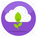 Cloud Ecology  Icon