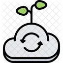 Cloud Information Data Icon
