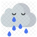 Cloud rain  Icon