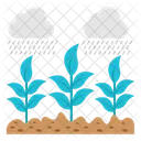 Cloud raining  Icon