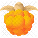 Cloudberry  Icon