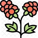 Cloudberry  Icon