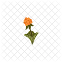 Cloudberry Berry Yellow Icon