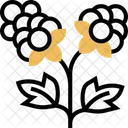 Cloudberry  Icon