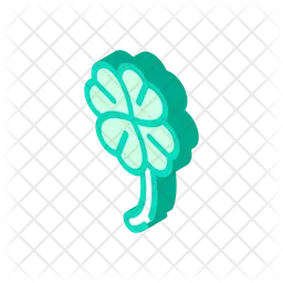 Clover  Icon