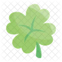 Clover Leaf Shamrock Icon