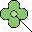 Clover Four Leaf Icon