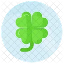 Clover Plant Leaf Icon