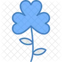 Clover Flower Clover Flower Icon