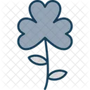 Clover Flower Clover Flower Icon