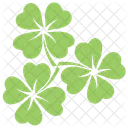 Clover Flowers Icon