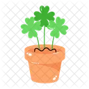 클로버 관엽 식물  아이콘